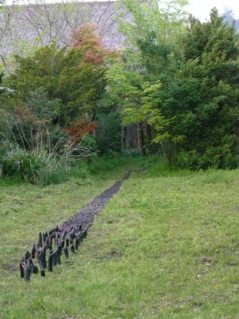 タマゴから